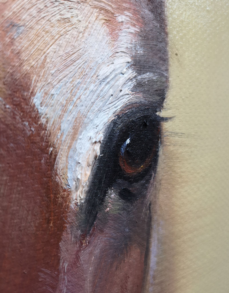 Brown Horse Portrait Art #ANH12